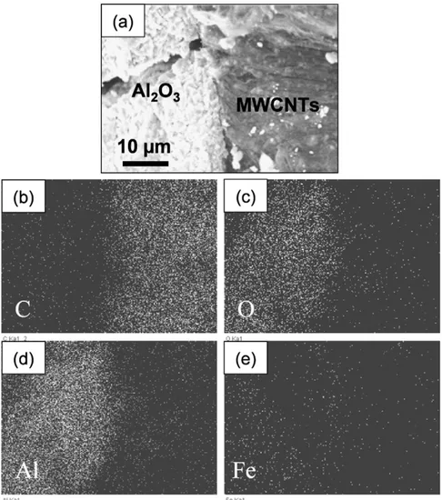 Fig. 10. X-ray cartographies of an aligned MWCNT growth interface: (a) SEM observation of the zone; (b) carbon cartography; (c) oxygen cartography; (d) aluminum cartog- cartog-raphy; and (e) iron cartography.