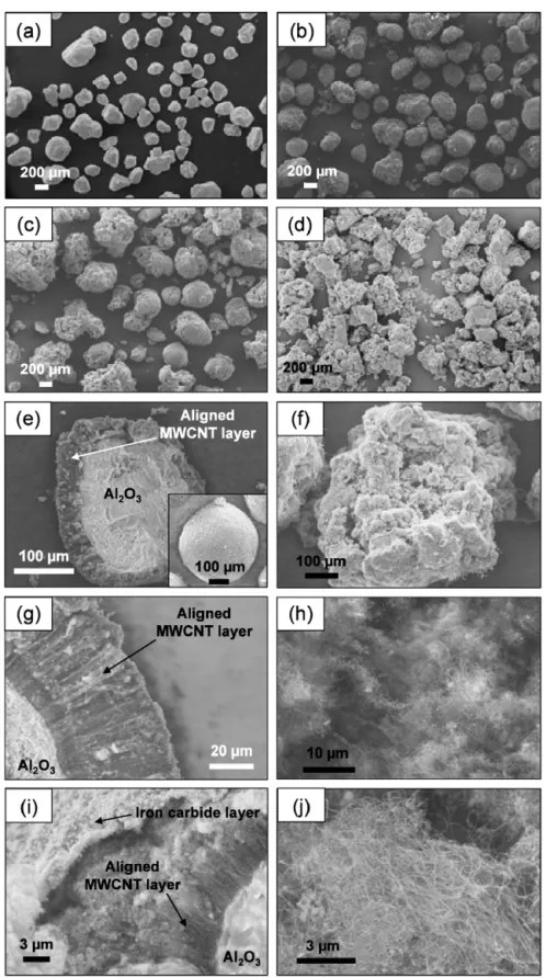 Fig. 3. SEM micrographs of (a) the fresh 10% w/w Fe/Al 2 O 3 catalyst; (b) the composite powder produced after 30 min of reaction; (c) the composite powder after 90 min of reaction; (d) the composite powder after 120 min of reaction; (e) the cross section 
