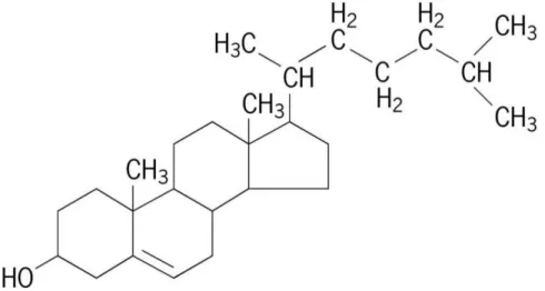 Figure 6 : Structure chimique du cholestérol 