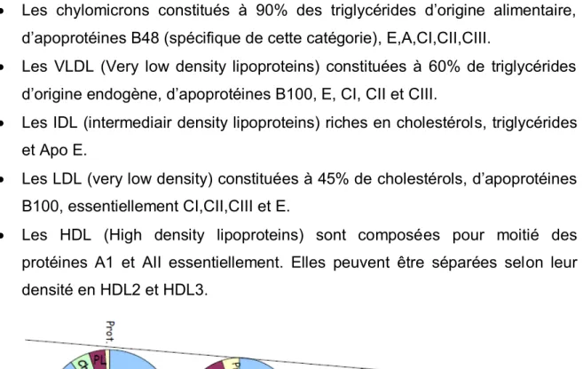 Figure 8 : composition des lipoprotéines (9) 