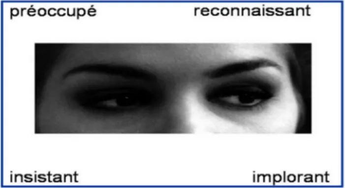 Figure 8 Reading The Mind in the Eyes Test d'après Baron Cohen (29) 