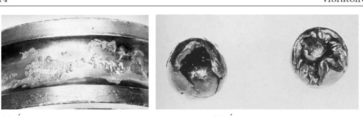 Fig. 2.10 – D´ egradations provoqu´ ees par le d´ et´ erioration du lubrifiant dans des roulements