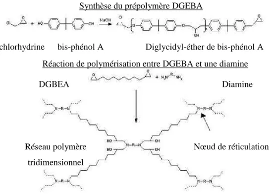 Figure I-22 : Synthèse de DGEBA et réaction de polymérisation pour les colles époxydes  (DGEBA+diamine)