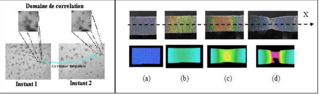 Figure II-5 : (1) : Corrélation d’images; (2) : champs des déformations au milieu de la plaque