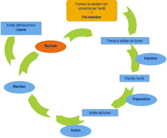 Figure 11 : Modèle de Prochaska et DiClemente (83). 