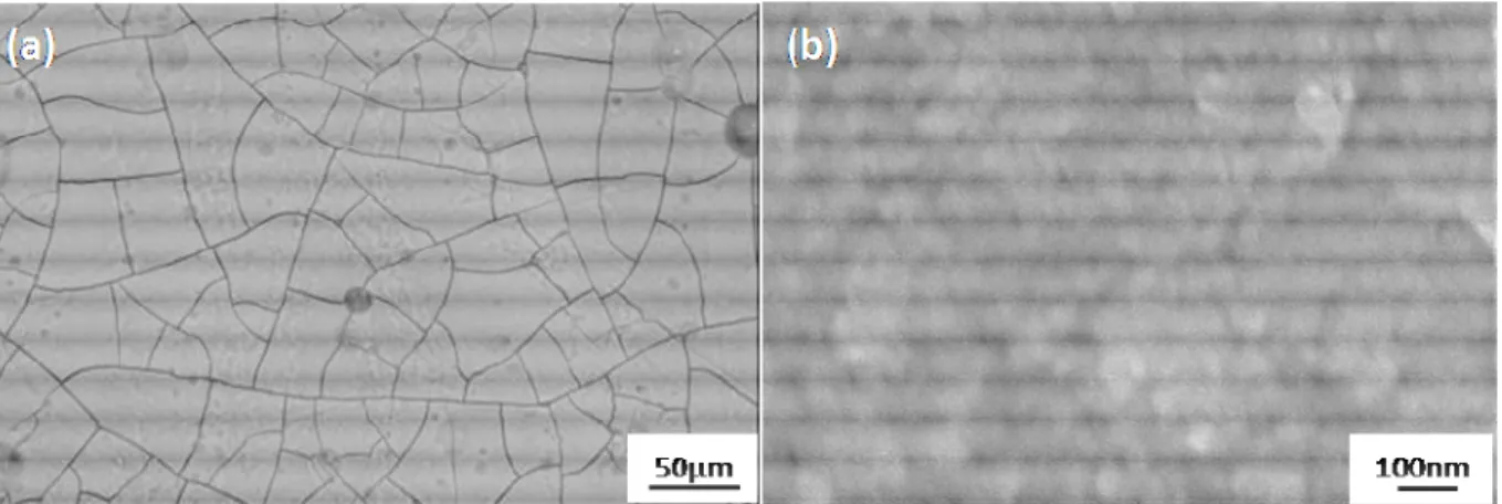 Fig. 5 - FEG-SEM plan views of a coloured and sealed anodic film on the AA 7175T7351  (a) x 200 ; (b) x 60,000