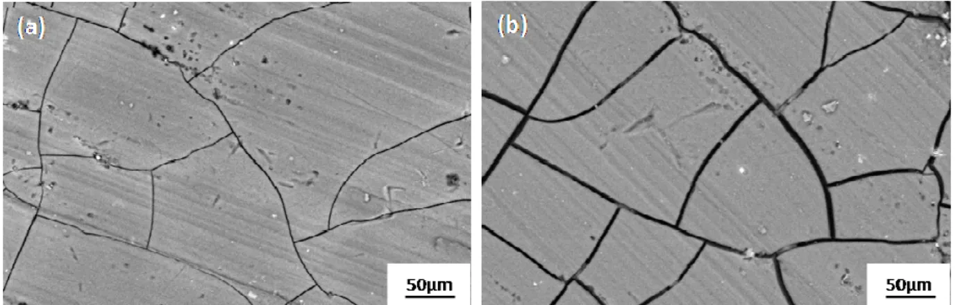 Fig. 6 - SEM plan views of a coloured and sealed anodic film  (a) before thermal cycling (b) after 10 thermal cycles (-140°C/+140°C)