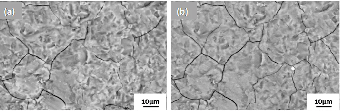 Fig. 6 reveals that thermal cycling (10 cycles between -140°C/+140°C) had no influence on the  number of cracks but clearly increased the cracks’ width