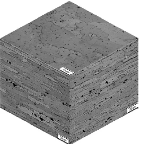 Fig. 1 shows the initial surface of the AA 7175T7351 just after degreasing and metallographic  attack