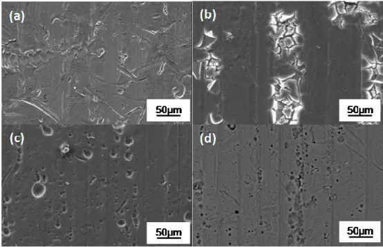 Fig. 2d shows a typical top view of the anodized sample at the mesoscopic scale, while Fig