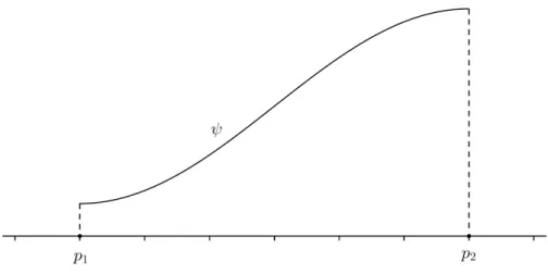 Figure 1.1: Function satisfying Assumption (P1 ρ 1 ,ρ 2 ,N ) Assumption (A1 µ 1 ,µ 2 ,N )
