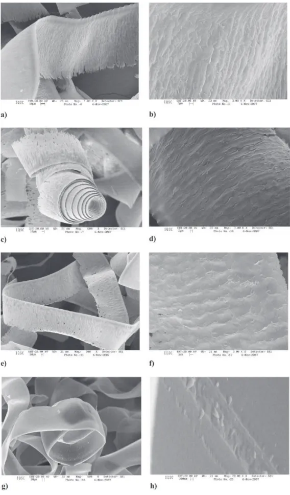 Fig. 6 Scanning electron microscopy images of the chips removed from the surface with different concentrations of CNT and the free surface of the chips showing the lamellar structure: (a) and (b) 0.02 wt % CNTs; (c) and (d) 0.07 wt % CNTs; (e) and (f) 0.3 