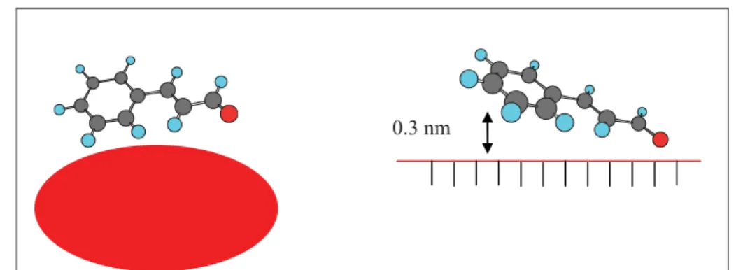 Figure 9: Scheme of CAL adsorption on a small metal particle and on a flat  surface