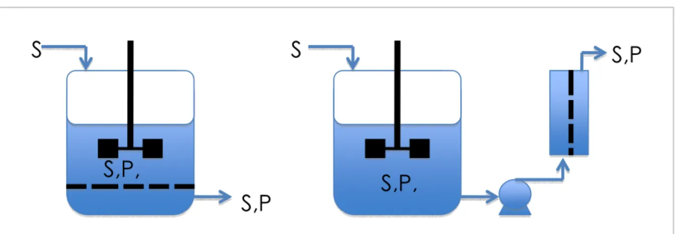 Figure I-1. Deux configurations de réacteur à membranes. S indique les substrats, C le catalyseur et P les  produits
