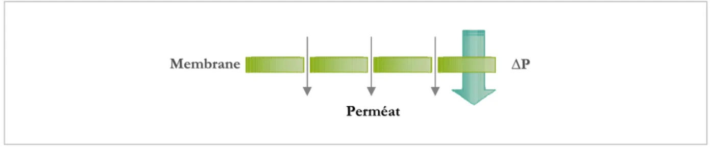 Figure I-4. Schéma du principe général de la filtration par membrane par gradient de pression