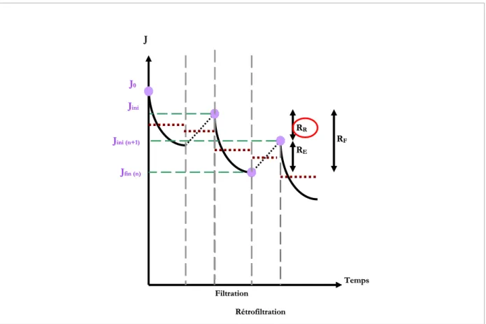 Figure II-7. Schématisation par un profil en escalier des flux évalués