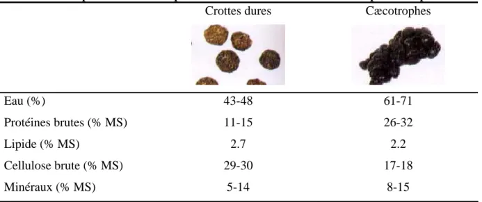 Tableau 4. Comparaison de la composition des crottes dures et des cæcotrophes du lapin 