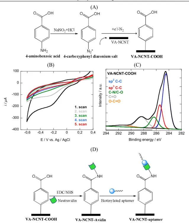 Figure 2.7: (A) Scheme of 4-carboxyphenyl diazonium salt formation; (B) Cyclic  voltammograms of VA-NCNT electrode in a solution of 4-aminobenzoic acid (10 mM),  NaNO 2  (10 mM)/HCl (0.5 M), scan rate: 100 mV s -1 ; (C) C 1s  high resolution spectrum of  V