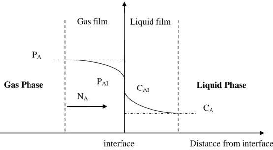 Figure 3.2 Concentration profiles of gaseous solute A in the neighbourhood of a gas–liquid  interface