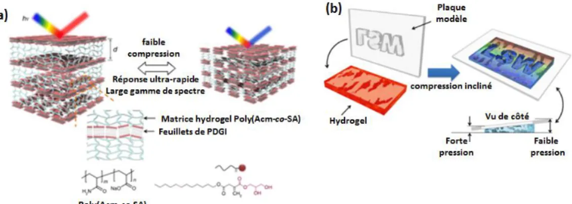 Figure  B.16. 27  :  (a)  Topologie  et  composition  d’un  hydrogel  bio-inspiré  à  base  de  poly(Acm-co- poly(Acm-co-SA)/PDGI