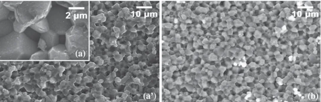 Fig. 2. Micrographs of AlN1 substrates: (a) surface, (a ¢) cross-section, and (b) chemical contrast on cross-section.