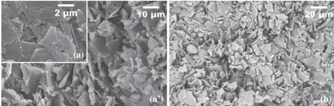 Fig. 6. Micrographs of BN thick substrates: (a) surface, (a ¢) cross-section, and (b) chemical contrast on cross-section.