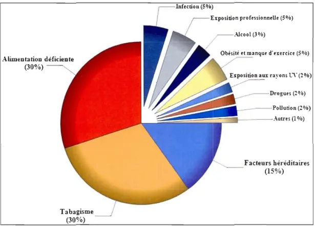 Figure  1.1  Facteurs de risques  du  cancer. 