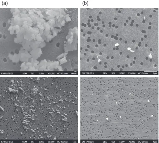 Fig. 6 shows typical SEM images of the collected aerosol particles obtained for polyacrylamide gels using femtosecond laser ablation
