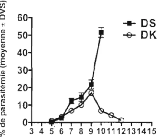 Figure  1,1:  Progression  de  la  parasitémie en  fonction  du  temps  (Cambos  et  al., 2008) 