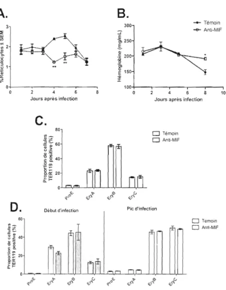 Figure  3,4  : La  neutralisation  du  MlF  entraîne  une  diminution  de  la  réticulocytose  et  une  augmentation  de  la  concentration  d'Hb  sanguine