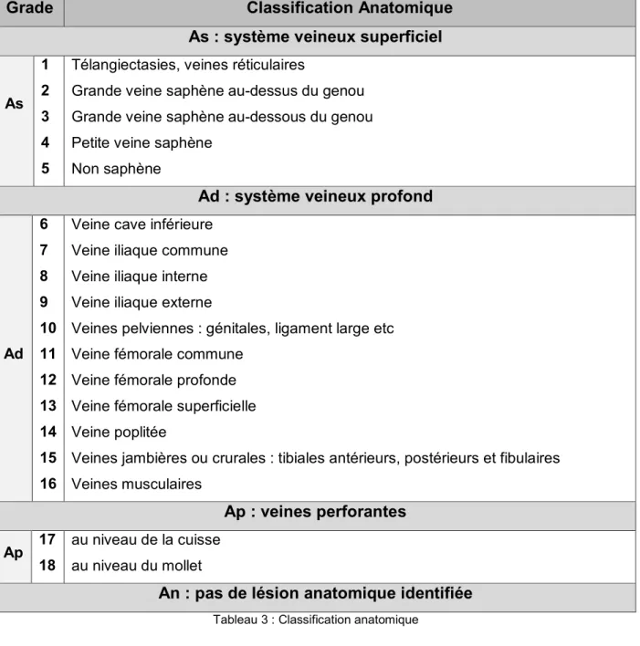 Tableau 3 : Classification anatomique 