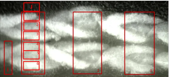 Figure 33 : Grille de caractérisation des multi-filaments pour une coupe en sens transverse 