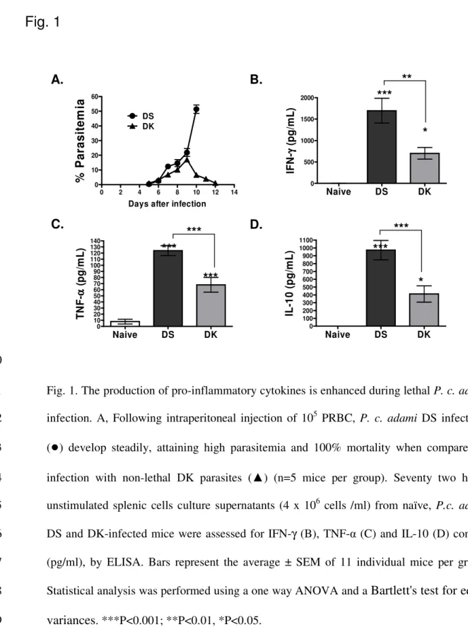 Fig. 1. The production of pro-inflammatory cytokines is enhanced during lethal P. c. adami 511 