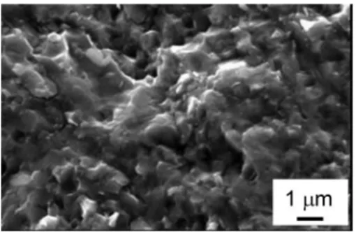 FIG. 1. HRSEM micrograph of the fracture of 关BT500@Si5兴 sintered by SPS at 1100 ° C under vacuum.