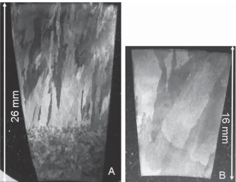 Fig. 1. Optical macrographs through the tube thickness of the two as-cast tubes, denoted A and B.
