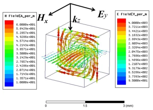 Fig.  1.1  Electric  (y-z  plane)  and  magnetic  (x-z  plane)  field  distributions  in  a  dielectric  cube  with  sidewidth a = 1.8 mm at the first Mie resonance frequency 11.14 GHz