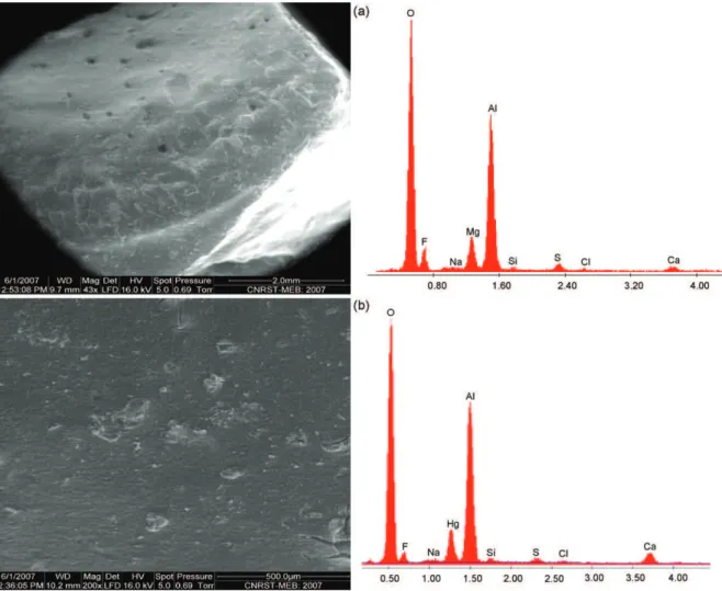 Fig. 11. SEM micrographs of sludge and EDX elemental analysis (C 0 = 20 mg/L and j = 17.1 mA/cm 2 ): (a) pHi 4; (b) pHi 7.
