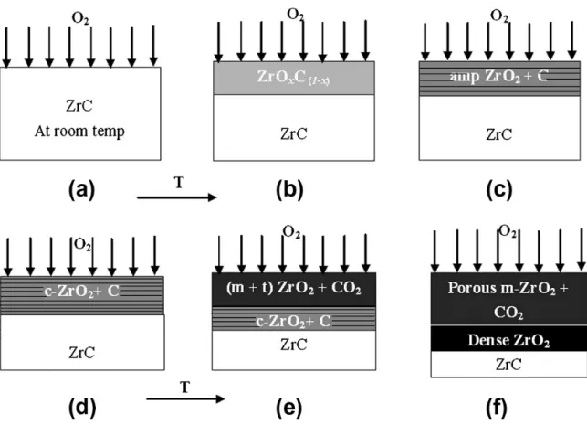 Figure  I.4. Mechanism of oxidation on ZrC surface. The figure is  adopted from  reference [43]
