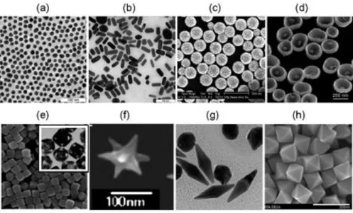 Figure 1.3: TEM images of 15-nm nanospheres (a), 15 50-nm GNRs (b), 160(core)/17(shell)-nm  silica/gold  nanoshells  (c,  SEM),  250-nm  Au  nanobowls  with  55-nm  Au  seed  inside  (d),  silver  cubes and gold nanocages (inset) (e), nanostars (f), bipyra