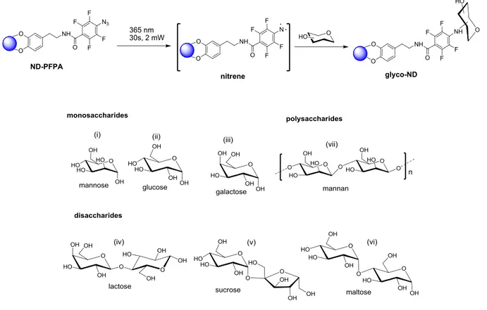 Figure  2.1:  a)  Synthesis  of  perfluorophenyl  azide  modified  dopamine  (1):  (i)  NaN 3 ,  acetone/water, 90C,  2h,  85%; (ii) NaOH,  water,  3h, RT, 90%,  (iii) NHS, DCM,  RT, overnight,  95%,  (iv)  dopamine  hydrochloride,  TEA,  DMF,  RT,  argon,