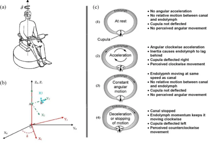 Figure  4:  (a)  Visualization  of  the  diagnosis  procedure,  (b)  Different  coordinate  systems  :  R 0 :  (O,  X 0 , Y 0 , Z 0 )  fixed  orthogonal  coordinate  system  ,R 1 :  (O,  X 1