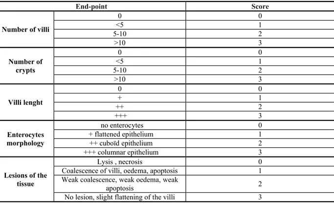 Table 1 Endpoints used to assess histologically the explants in a morphological score  (maximal score of 15 before incubation) 