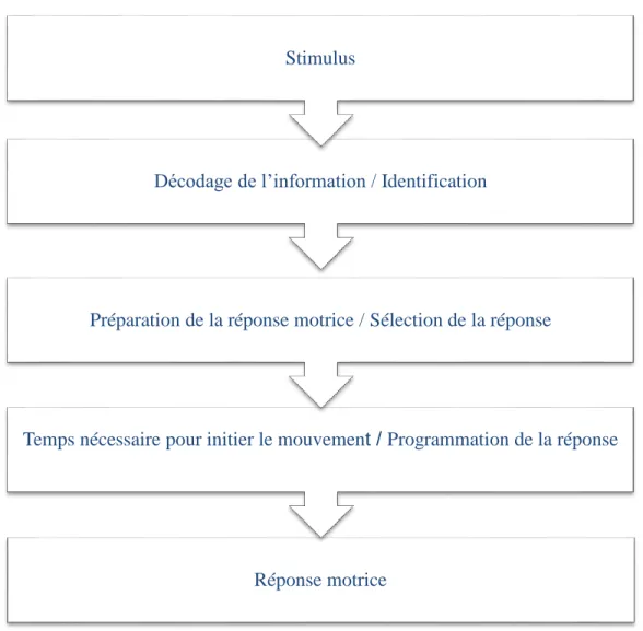 Figure  1  :  Schéma  du  processus  du  temps  de  réaction  (Inspiré  de  Fondarai  et  al