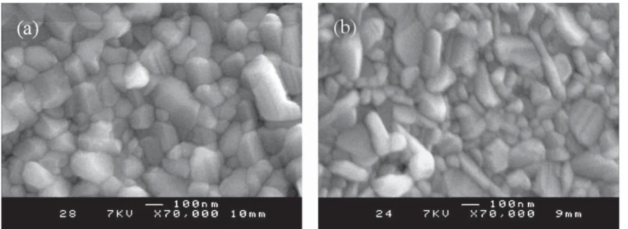 Fig. 8. SEM images of La 2 Ti 2 O 7 ﬁlms obtained by dip coating in a [Ti 4+ ] = 0.90 mol L −1 solution at various withdrawal speeds then annealed at 1000 ◦ C for 12 h in air: (a) 40 mm min −1 and (b) 80 mm min −1 .
