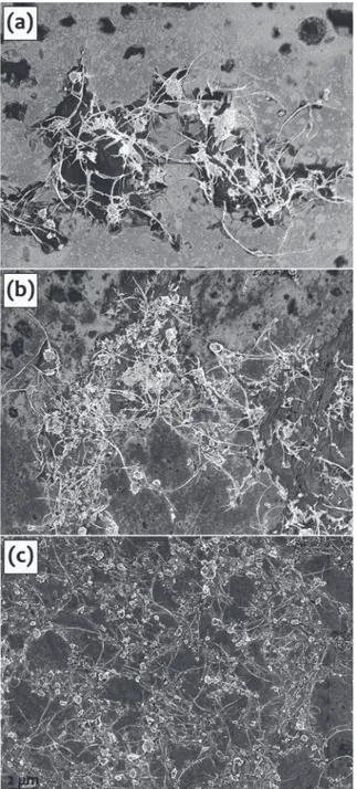 Fig. 9 SEM micrographs of the DWNT prepared (a) in the presence of SDS; (b) after substitution of the SDS with Surfhope 1216 (40 mg/L); (c) after substitution in Surfhope 1216 at 20 mg/L and centrifugation.