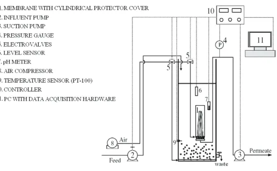 Figure 1. Schematic diagram of the submerged membrane bioreactor used in this  study. 