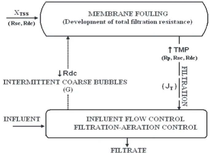 Figure 2. Conceptual schematic of developed model 