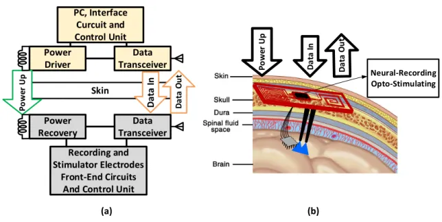 Figure 1.6 – (a)The block diagram of a wireless implantable system, (b) the schematic of implanted device of neural recording and Opto-stimulating system.
