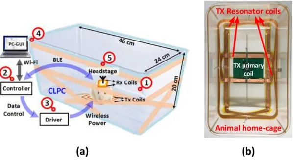 Figure 1.12 – (a) A conceptual representation of the proposed EnerCage-HC2 system for wireless powering and communication with a headstage [67]