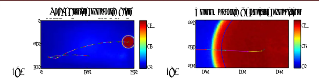 Figure II.18. a) Trajectoire en 50 images consécutives b) Zoom sur la bille. 
